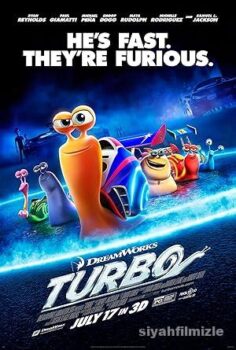 Turbo 2013